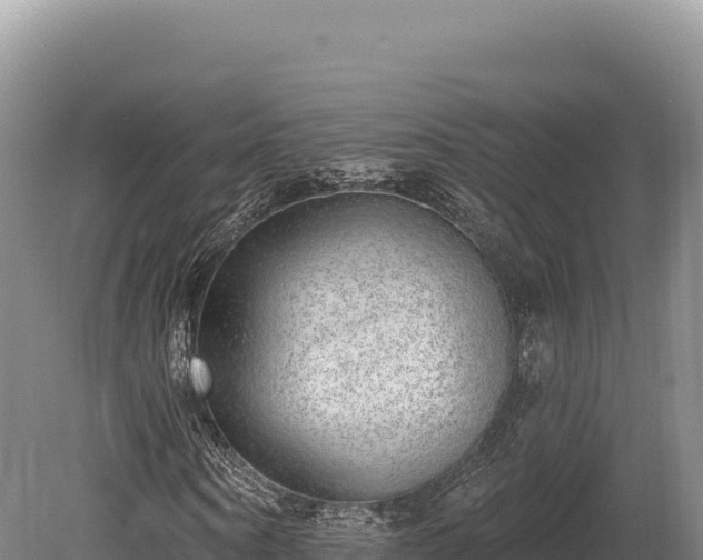 X0000080150866200612151828