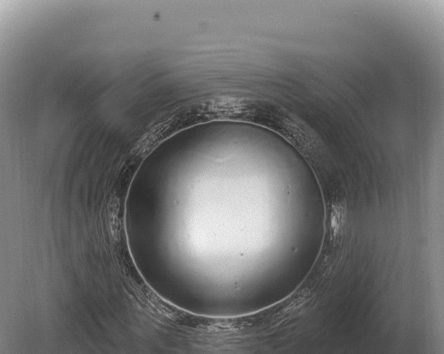 X0000080150867200612151827