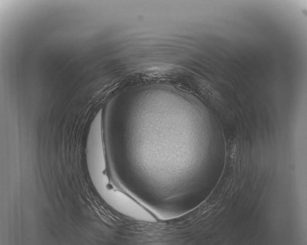 X0000080150868200612151827