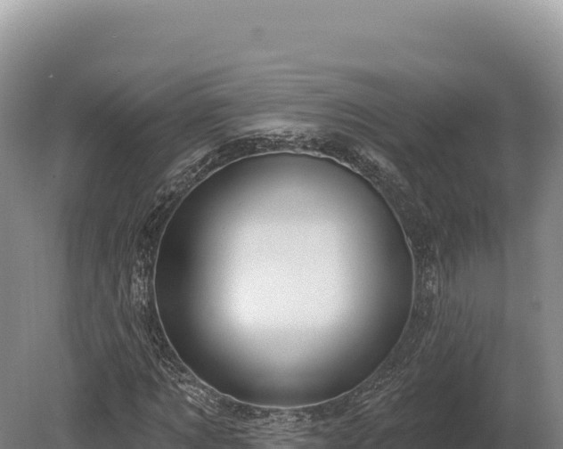 X0000080150869200612151827