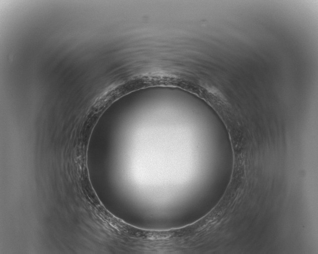 X0000080150870200612151827