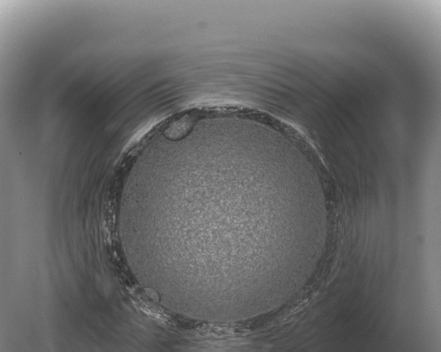 X0000080150871200612151827