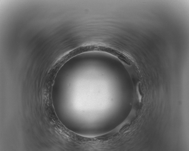 X0000080150872200612151827