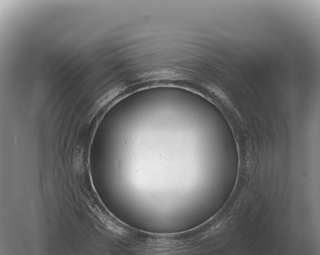 X0000080150873200612151827