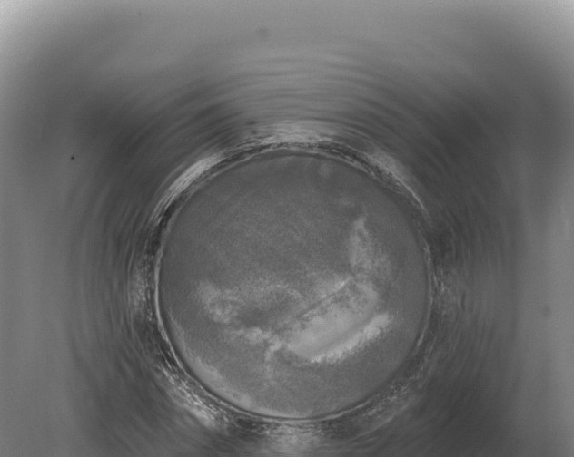 X0000080150874200612151827