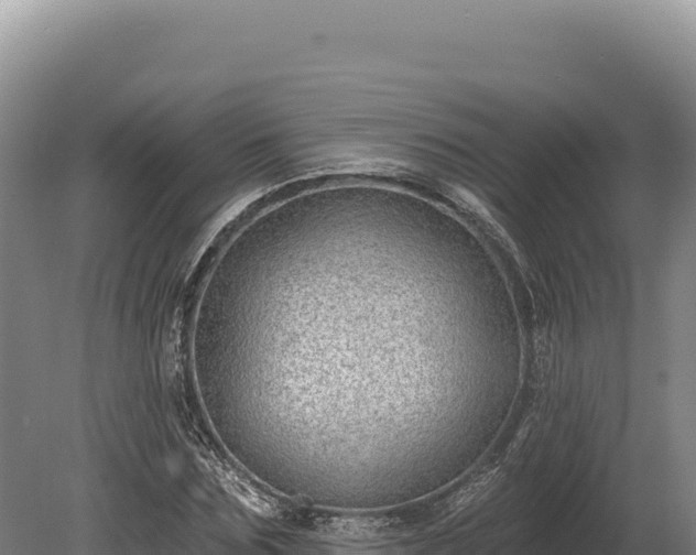 X0000080150875200612151827