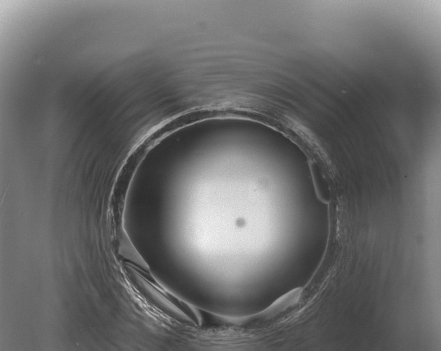 X0000080150876200612151827