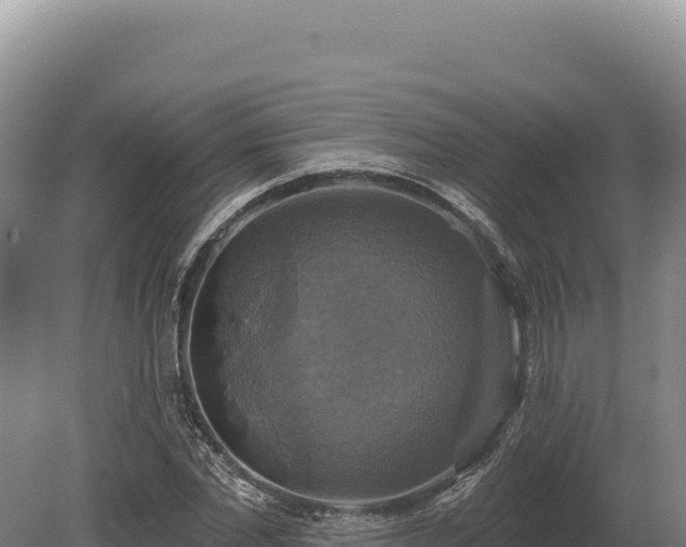 X0000080150877200612151827