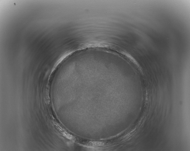 X0000080150878200612151827