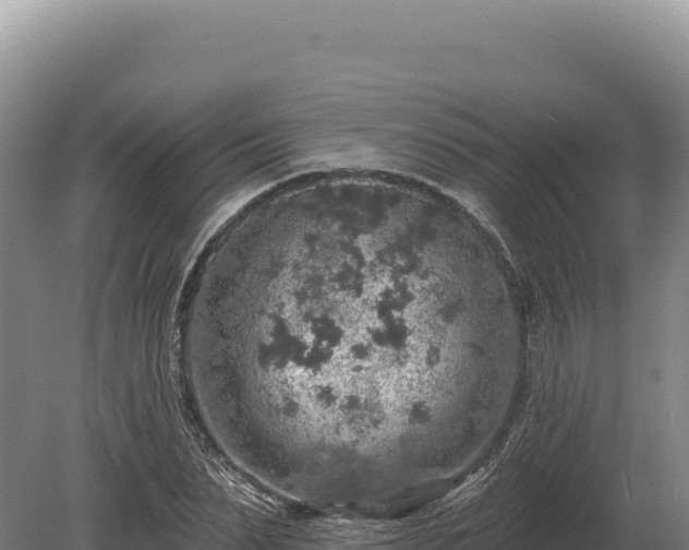 X0000080150879200612151827