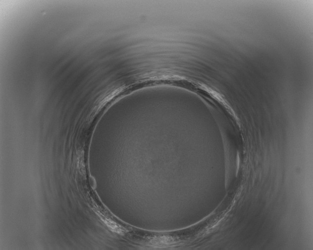 X0000080150881200612151827