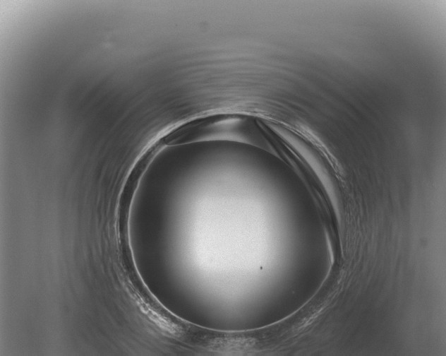 X0000080150884200612151827