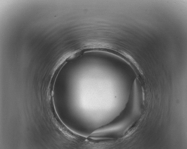 X0000080150885200612151827