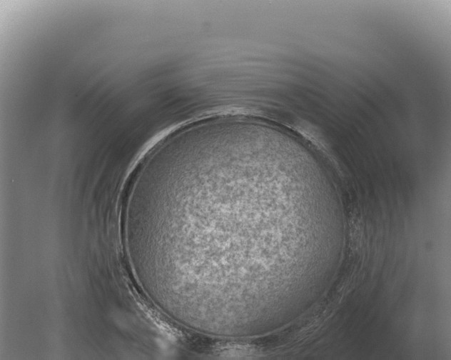 X0000080150886200612151827