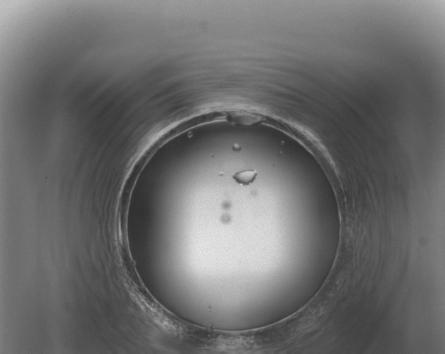 X0000080150887200612151827