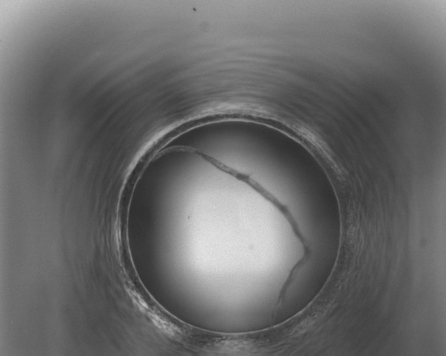 X0000080150888200612151827