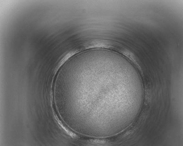 X0000080150890200612151827