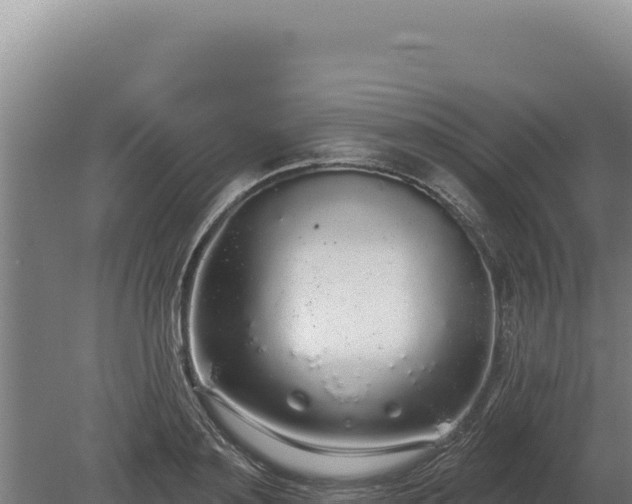 X0000080150891200612151827