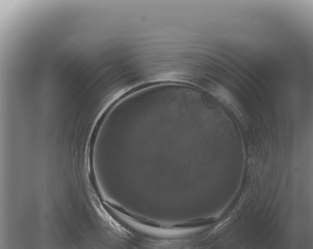 X0000080150892200612151827