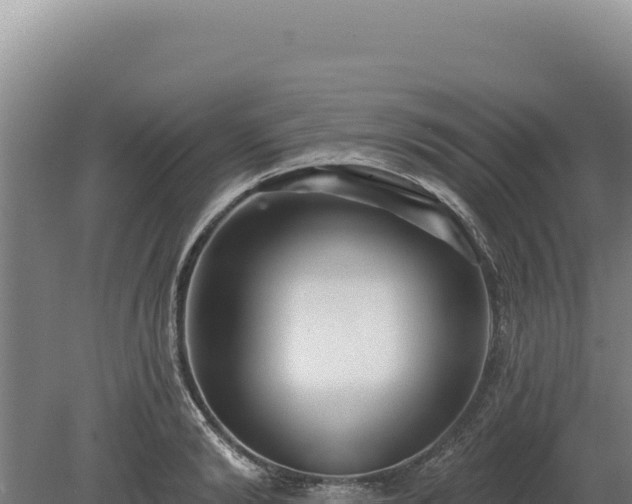 X0000080150894200612151827