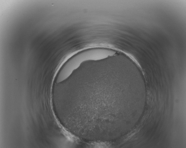 X0000080150895200612151827