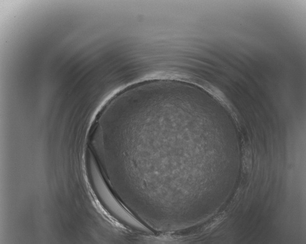 X0000080150896200612151827