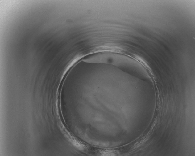 X0000080150899200612151827