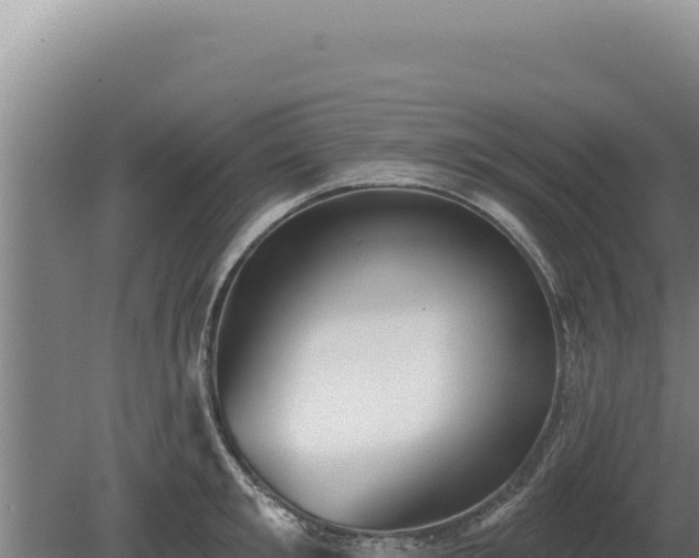 X0000080150901200612151827