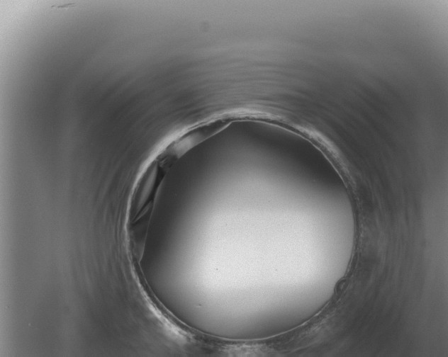 X0000080150902200612151827