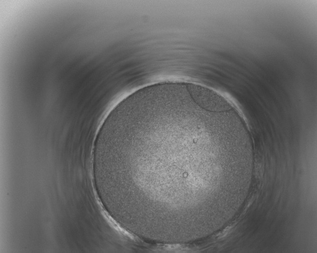 X0000080150903200612151827