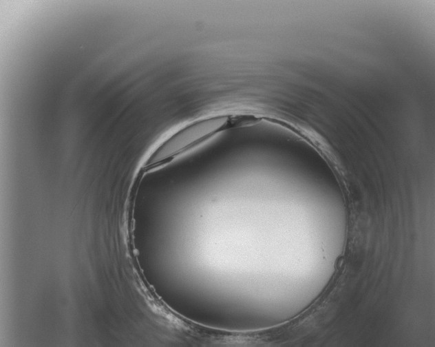 X0000080150904200612151827