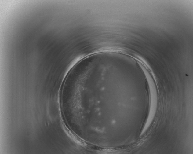 X0000080150907200612151827