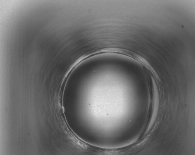 X0000080150908200612151827