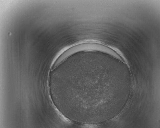 X0000080150910200612151827