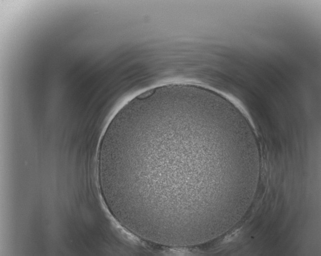 X0000080150911200612151827