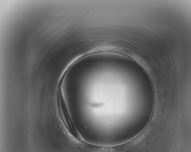 X0000080150912200612151827