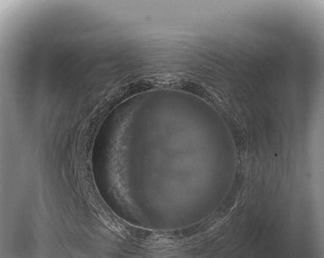 X0000080150913200612151826