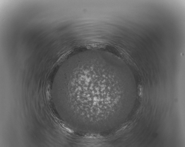 X0000080150915200612151826