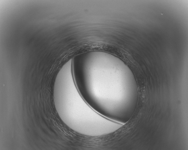 X0000080150916200612151826