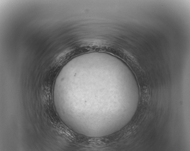 X0000080150918200612151826