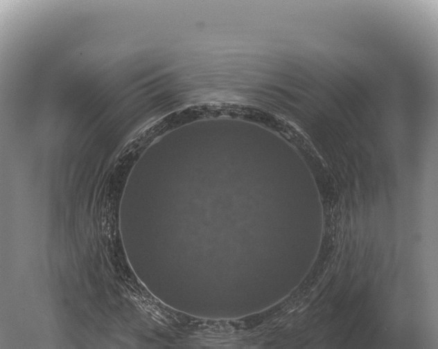 X0000080150919200612151826