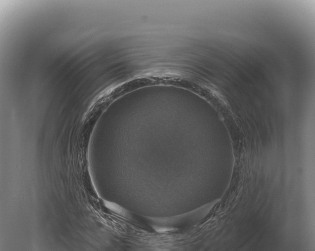 X0000080150920200612151826