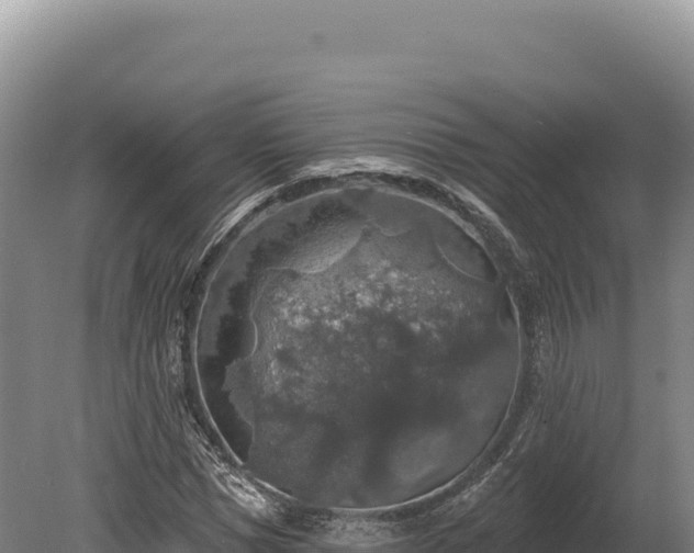 X0000080150921200612151826