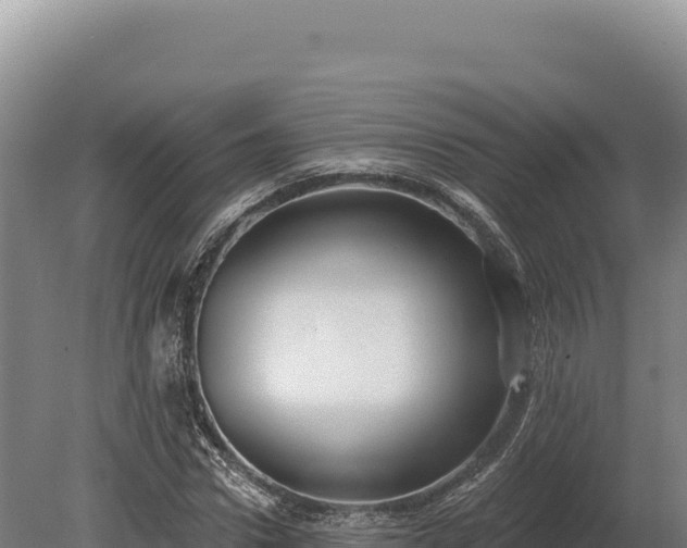 X0000080150922200612151826