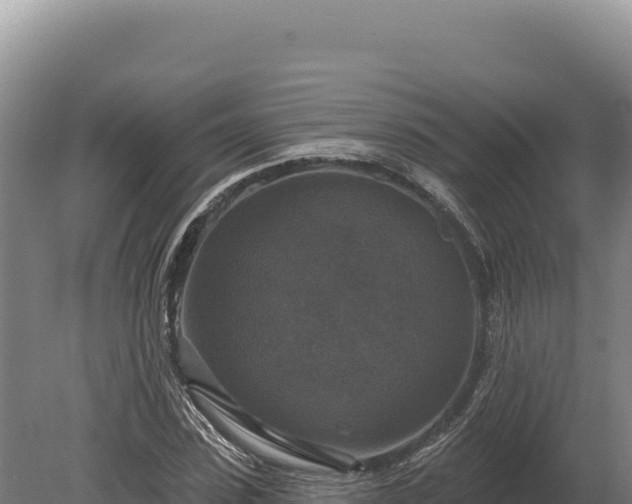 X0000080150923200612151826