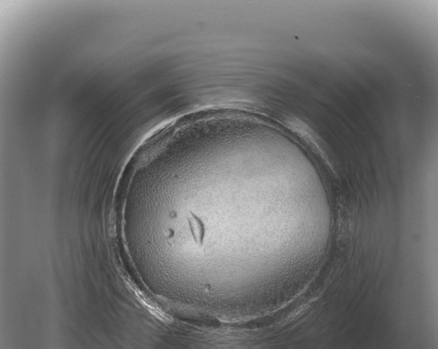 X0000080150924200612151826