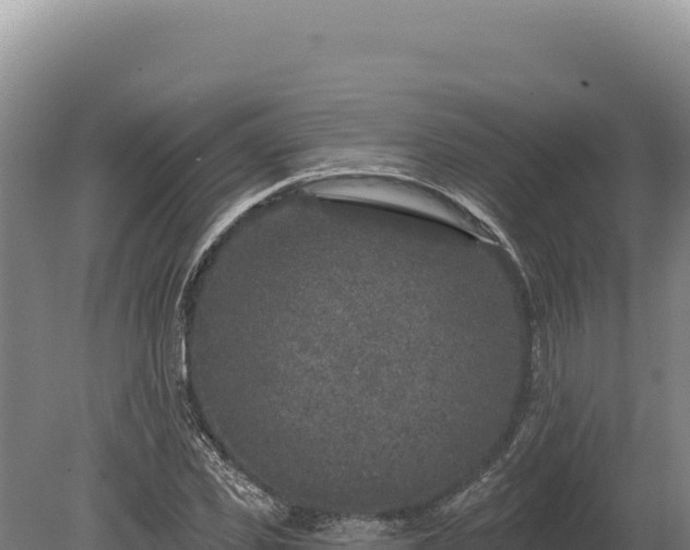 X0000080150925200612151826