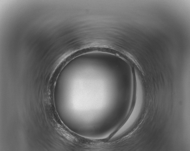 X0000080150926200612151826