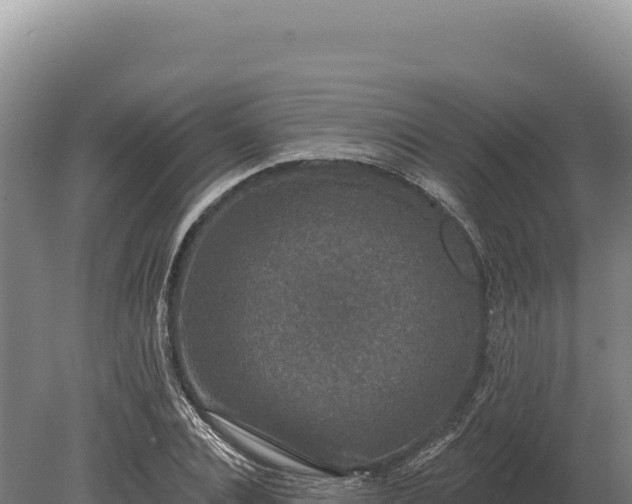 X0000080150928200612151826