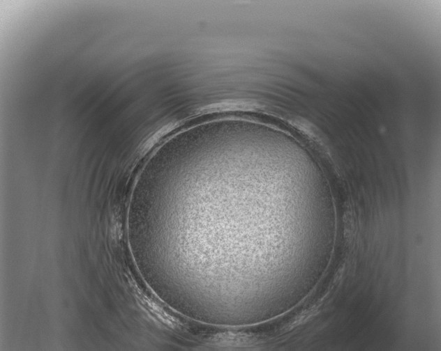 X0000080150929200612151826